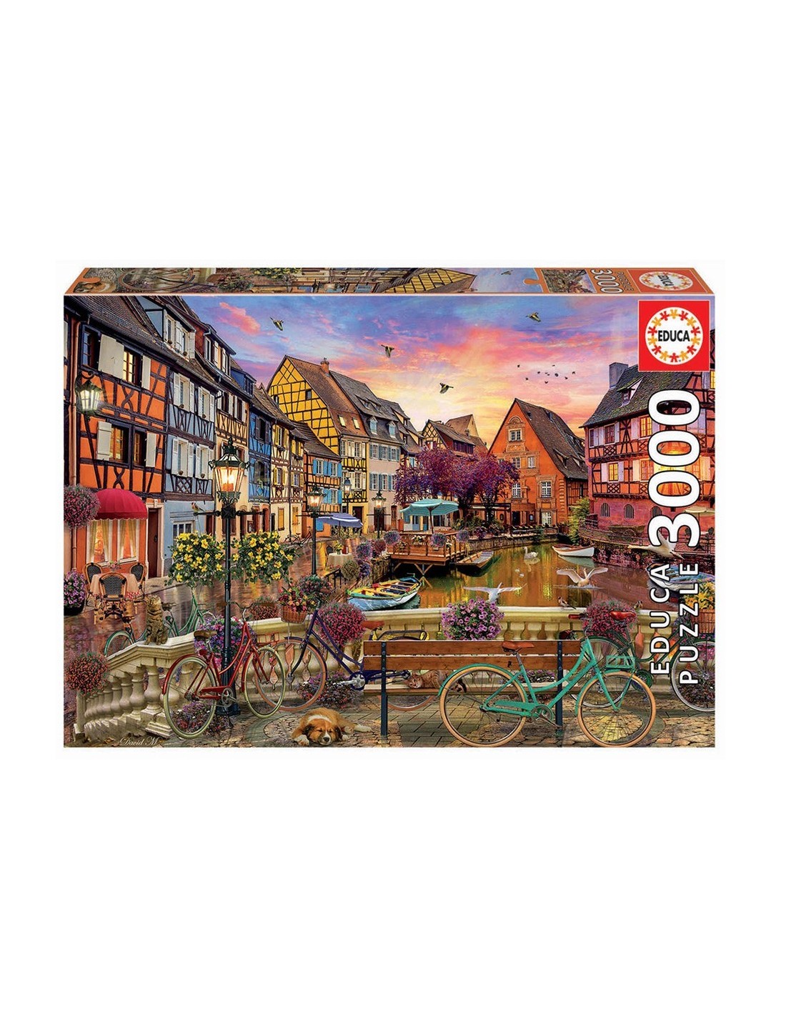 Puzzle 3000 piezas